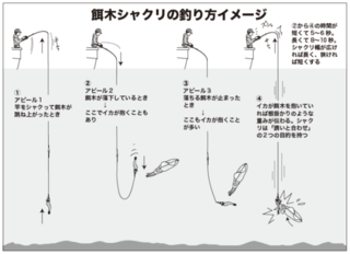 餌木シャクリの釣り方イメージ