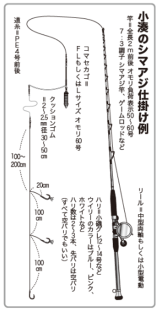小湊のシマアジ仕掛け例