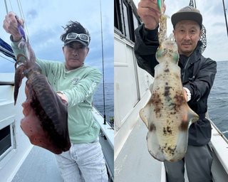 【釣果速報】アオリイカが終日ヒット！千葉県赤沼丸に乗船して憧れの高級イカを釣りに行こう！