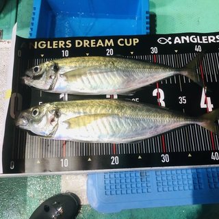 釣果