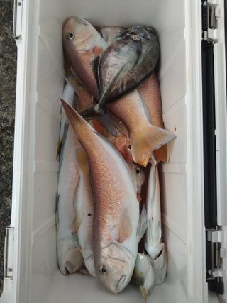 釣果