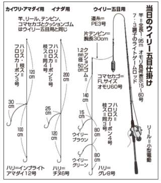 当日のウイリー五目仕掛け