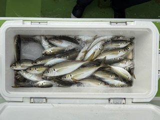 釣果