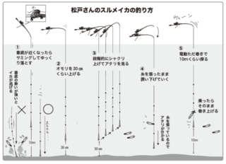 松戸さんのスルメイカの釣り方