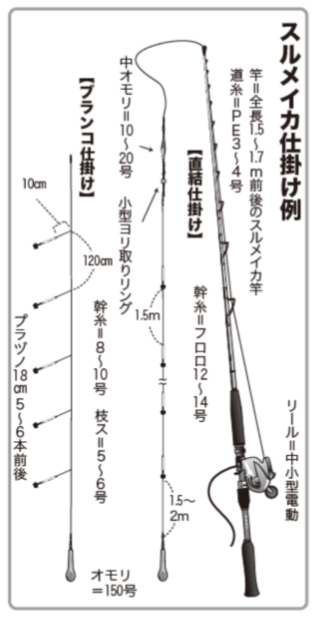 スルメイカ仕掛け例