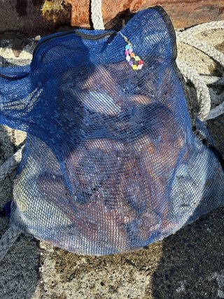 釣果