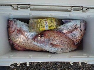 釣果