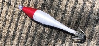 赤白スッテの写真