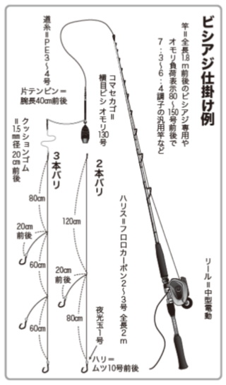 ビジアジ仕掛け例