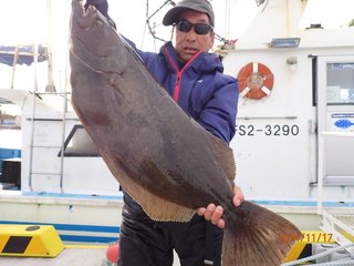 【釣果速報】福島県つりエサ豊漁でヒラメ全員GET！91cmの大座布団も！！数・型ともに絶好調の今が乗船ドキ！！！