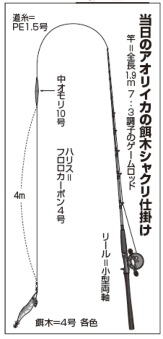 当日のアオリイカの餌木のシャクリ仕掛け