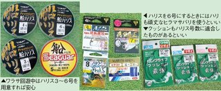 ハリス、ハリの写真