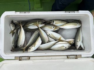 釣果