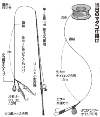 当日のマダコ仕掛け