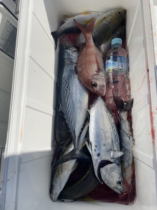 釣果