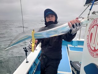 【釣果速報】東京都深川 吉野屋でタチウオ全員安打達成！仲間とわいわい釣りを楽しみたいなら深川 吉野屋に決まり！