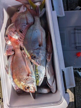 釣果