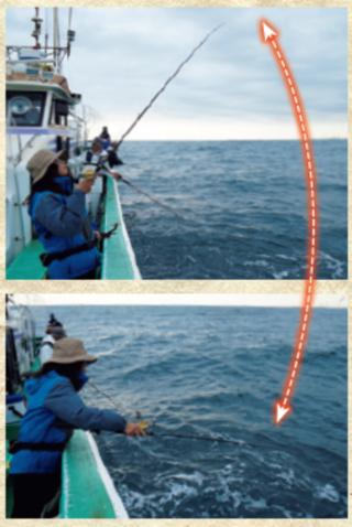 しのチェック02-1