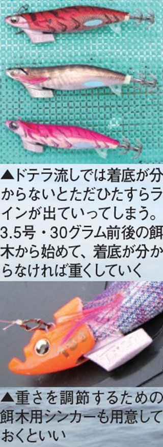 ティップランエギングタックルの写真