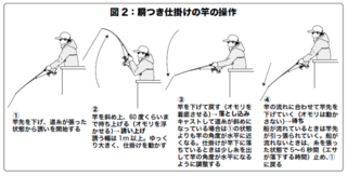 胴つき仕掛けの竿の操作