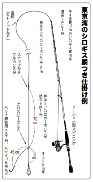 東京湾のシロギス胴つき仕掛け例