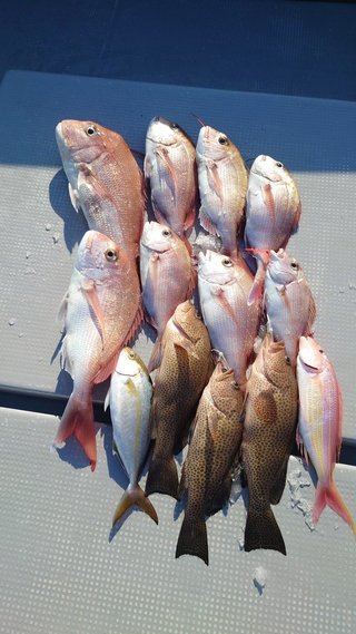 釣果