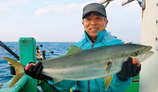 船釣り　新品未使用ハリス・クッションゴムまとめ売り　真鯛、ワラサ ゴムヨリトリ ワラサSP｜YAMASHITA｜イカ釣りで世界トップクラス