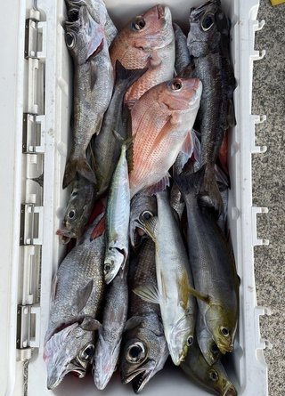 釣果