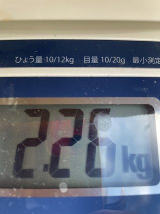 釣果