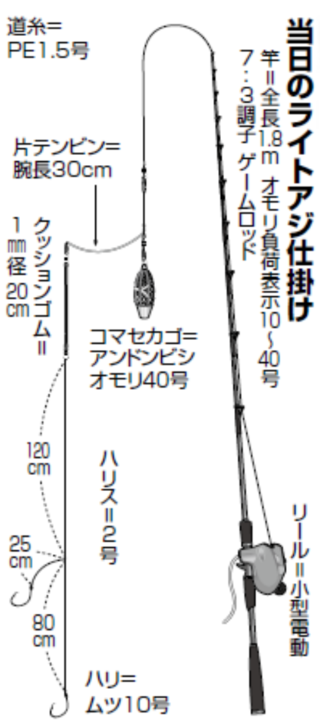 当日のライトアジ仕掛け