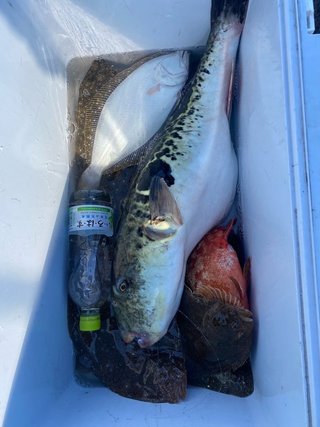 釣果