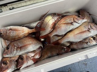 釣果