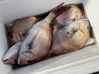 釣果