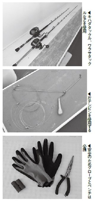 タックル、道具の写真