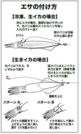 エサの付け方の図