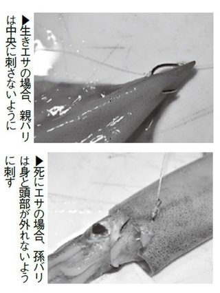 エサの付け方の写真