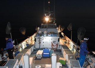 ポイントの写真