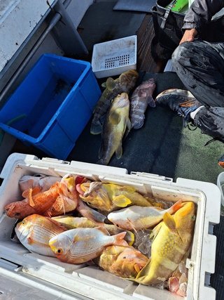 釣果