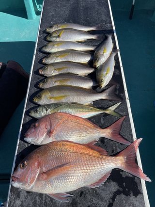 釣果