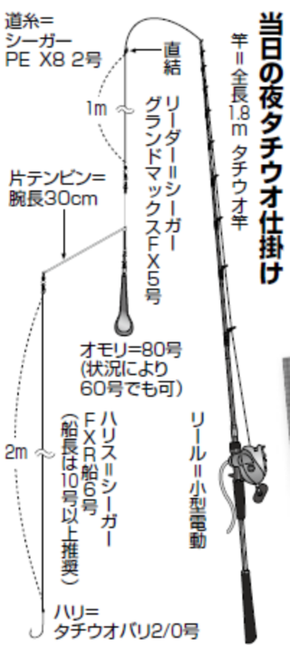 当日の夜タチウオ仕掛け