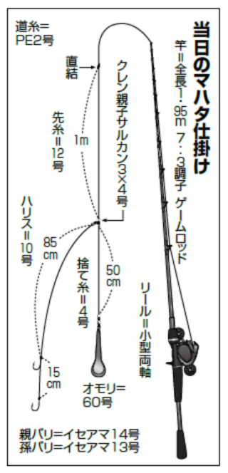 当日のマハタ仕掛け