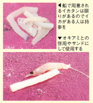 船釣り　新品未使用ハリス・クッションゴムまとめ売り　真鯛、ワラサ イナダ・マダイ五目仕掛け