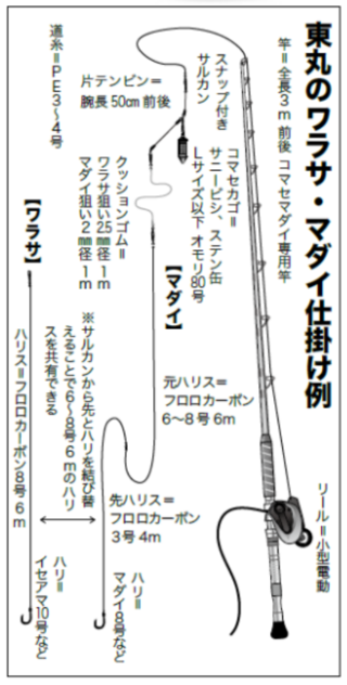 ワラサはロングラン継続下剋上イナダが急上昇！