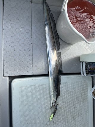 釣果