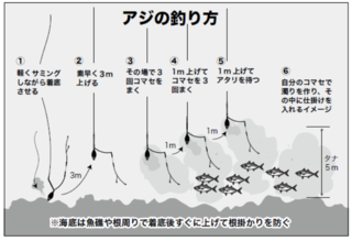 アジの釣り方