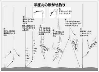 洋征丸の泳がせ釣り