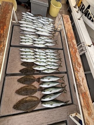 釣果