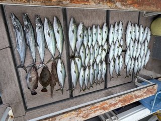 釣果