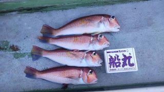 釣果