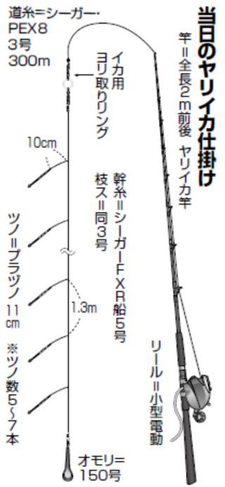 当日のヤリイカ仕掛け